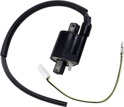 23-301 Ricks Ignition Coil - Electrical