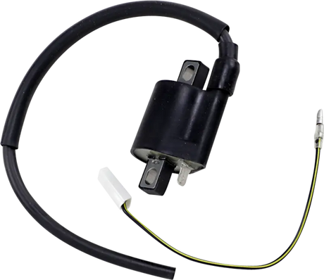 23-301 Ricks Ignition Coil - Electrical