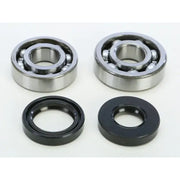 23.CBS21093 Crankshaft Bearing & Seal Kit Yam