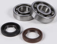 Crankshaft bearing and seal kit CBS22088 with bearings and seals for engine repair
