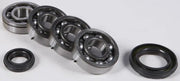 Open ball bearings and oil seals from the 23.CBS23087 Crankshaft Bearing & Seal Kit