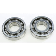 23.CBS24098 Crankshaft Bearing & Seal Kit Gas/Yam