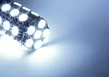 231156W-360 Backup Light Bulb - LED