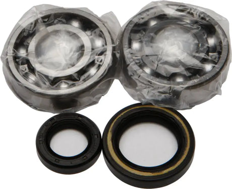24-1003 Crankshaft Bearing/Seal Kit - Bearing & Seal