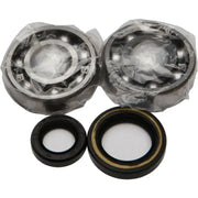 24-1003 Crankshaft Bearing/Seal Kit - Bearing & Seal