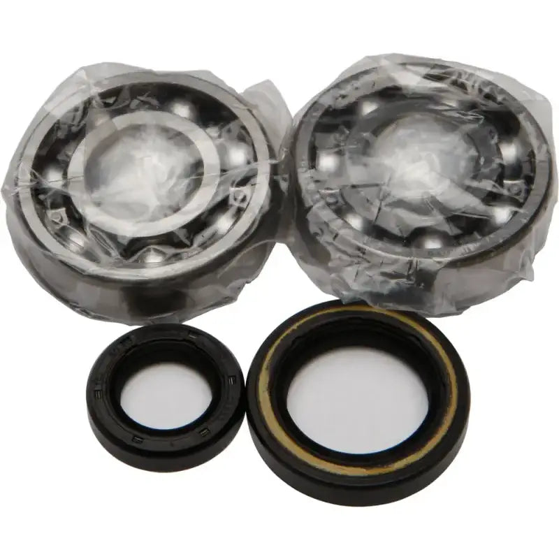 24-1003 Crankshaft Bearing/Seal Kit - Bearing & Seal