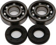 24-1006 Crankshaft Bearing/Seal Kit - Bearing & Seal