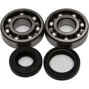24-1008 Crankshaft Bearing/Seal Kit - Bearing & Seal