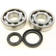 Two ball bearings and oil seals from the 24-1038 Crankshaft Bearing Seal Kit for RV parts & accessories
