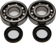24-1045 Crankshaft Bearing/Seal Kit - Bearing & Seal