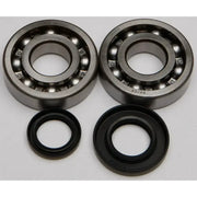 Two metal ball bearings and black rubber oil seals from the 24-1046 Crankshaft Bearing Seal Kit for RV parts & accessories