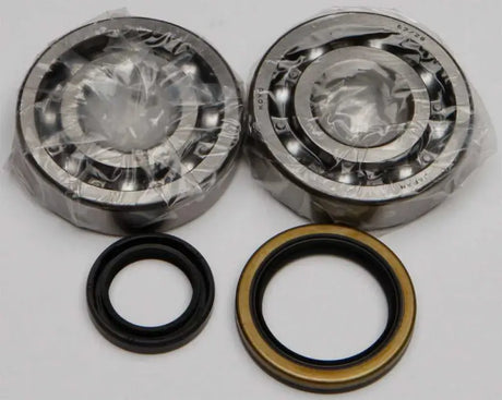 ALL BALLS 24-1060 Crankshaft Bearing/Seal Kit