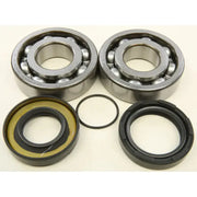 24-1066 Crankshaft Bearing/Seal Kit - Bearing & Seal