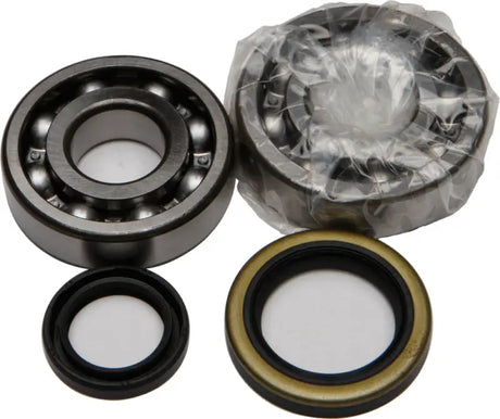 Open ball bearings and oil seals from 24-1091 Crankshaft Bearing Seal Kit for RV parts