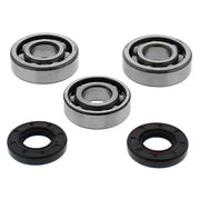 24-1117 Crankshaft Bearing/Seal Kit - Bearing & Seal