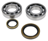 Image of two crankshaft bearings and oil seals from 24-1129 seal kit for RV parts & accessories