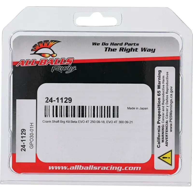 All Balls Racing crankshaft bearing and seal kit for Beta EVO 4T 250/300 RV parts & accessories