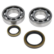 Image of two crankshaft bearings and oil seals from 24-1129 seal kit for RV parts & accessories