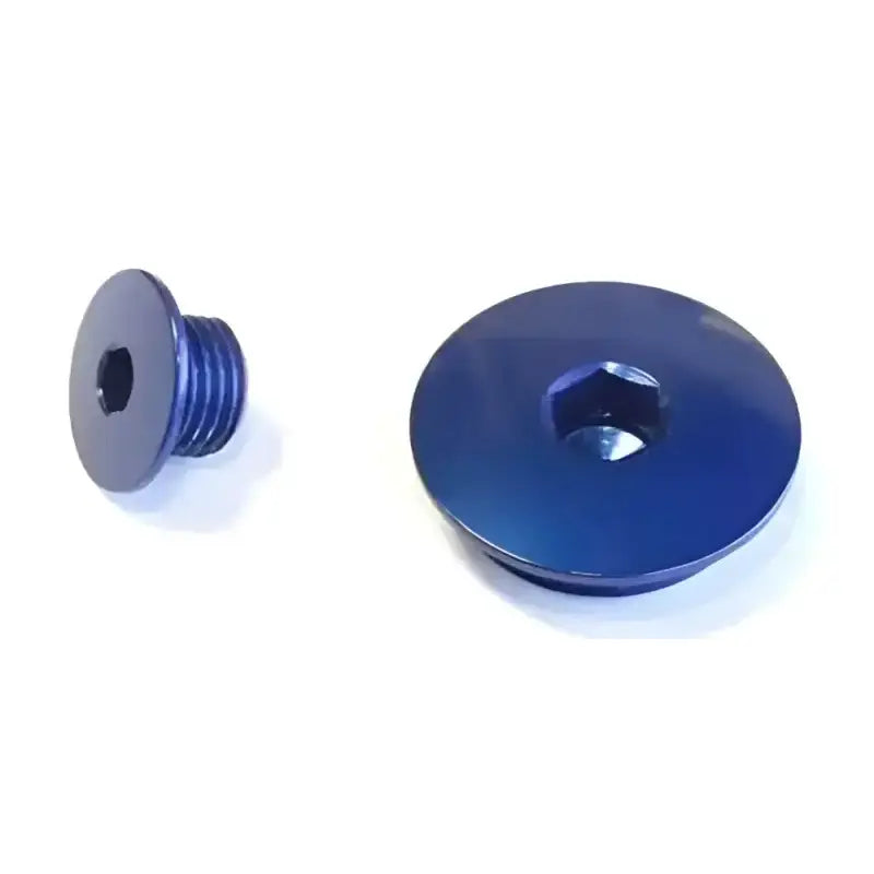 24-530 Engine Plugs Blue