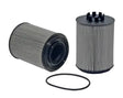 24155 Coolant Filter