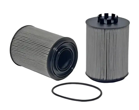 24155 Coolant Filter