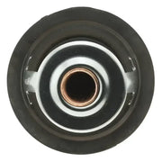 243-195 Motor Rad Am Thermostat