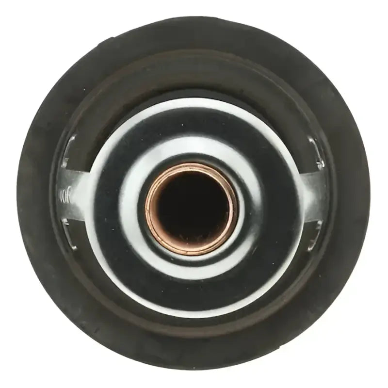 243-195 Motor Rad Am Thermostat