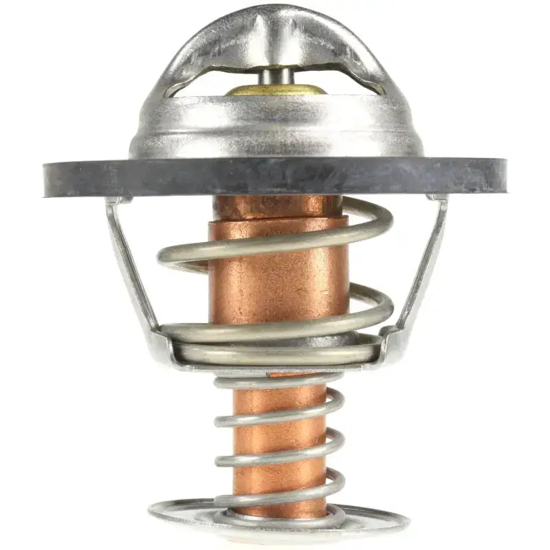 243-195 Motor Rad Am Thermostat