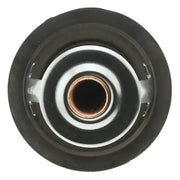 243-195 Motor Rad Am Thermostat