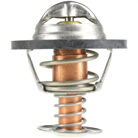 243-195 Motor Rad Am Thermostat
