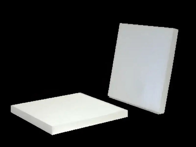 24318 Cabin Air Filter