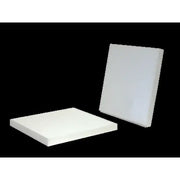 24318 Cabin Air Filter
