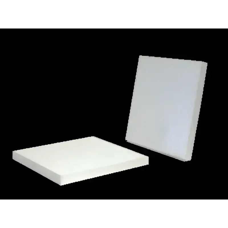 24318 Cabin Air Filter