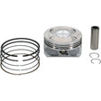 24563 Cast Replica Piston Kit 90.96/Std