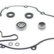 Vertex Water Pump Rebuild Kit Engine 821376