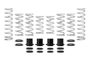 Eibach E85-209-009-03-22 Eibach Pro-UTV 17-18 Polaris XP1000 Turbo 2-Seat Stage 3 Performance Springs