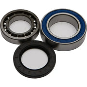 Bearing and seal kit.