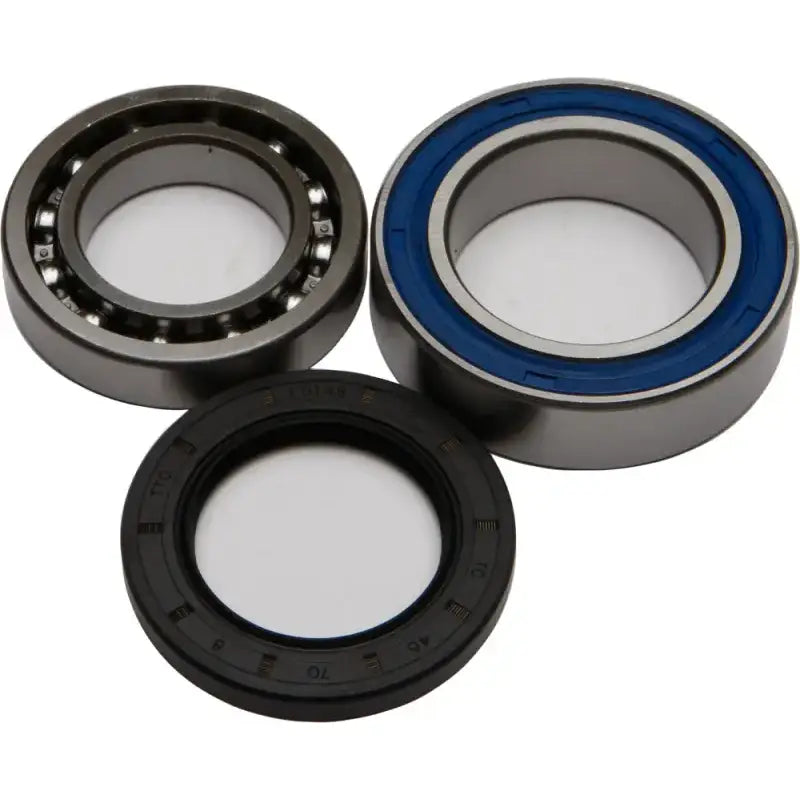 Bearing and seal kit.