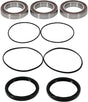 PIVOT WORKS 25-1208-P Wheel Bearing Kit Premium