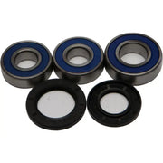 Rear wheel bearing and seal kit for 25-1256, featuring premium quality bearings with blue double lip rubber seals and TC Nitrile Elastomer seals designed for optimal water and dirt exclusion.