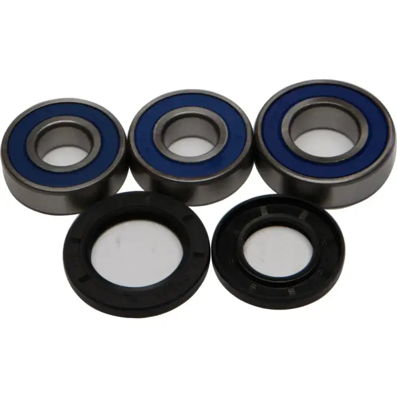Rear wheel bearing and seal kit for 25-1256, featuring premium quality bearings with blue double lip rubber seals and TC Nitrile Elastomer seals designed for optimal water and dirt exclusion.
