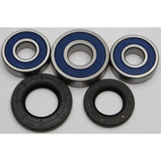 Bearings and seals set.