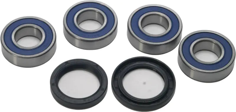 Blue-sealed wheel bearings and black oil seals in the 25-1672 Seal Kit