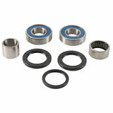 Motorcycle wheel bearing kit for 25-1789 Rear Wheel Bearing Seal Kit upgrade