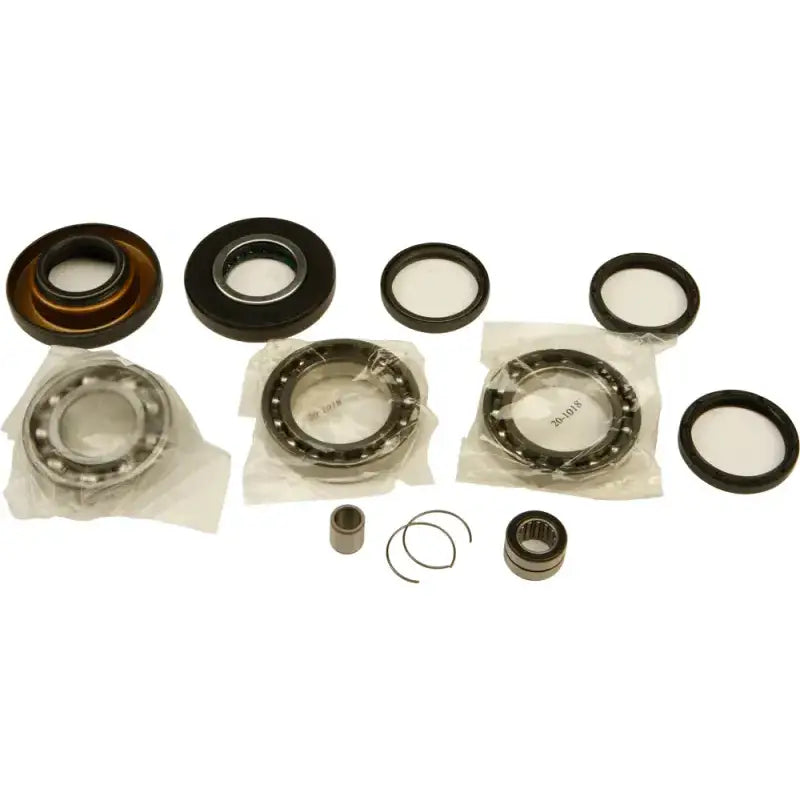 25-2009 Differential Bearing And Seal Kit - &