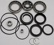 Assorted mechanical seals and bearings from 25-2010 Rear Differential Bearing And Seal Kit