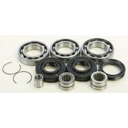 Assorted differential bearings and seals in the 25-2060 Pinion Repair Sleeve Kit