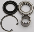 Assorted mechanical components for primary bearing seal kit and primary bearing replacement