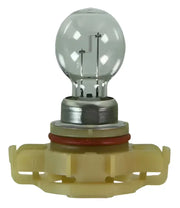 2504 Multi Purpose Light Bulb