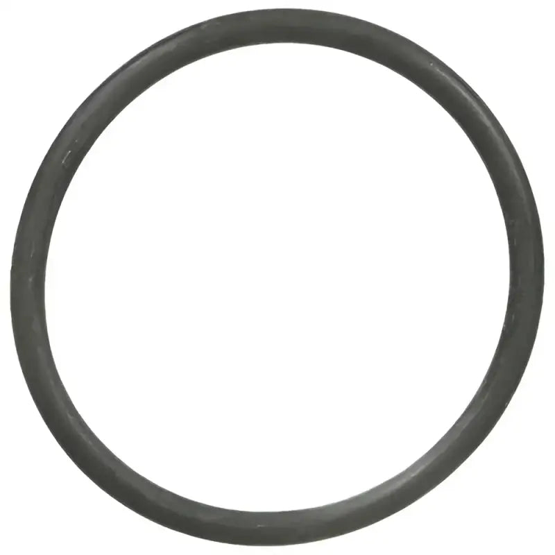 25598 Thermostat Housing Gasket